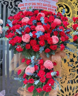 hoa-khai-truong-mau-13