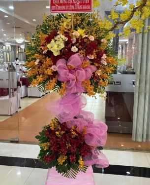 hoa-khai-truong-mau-15